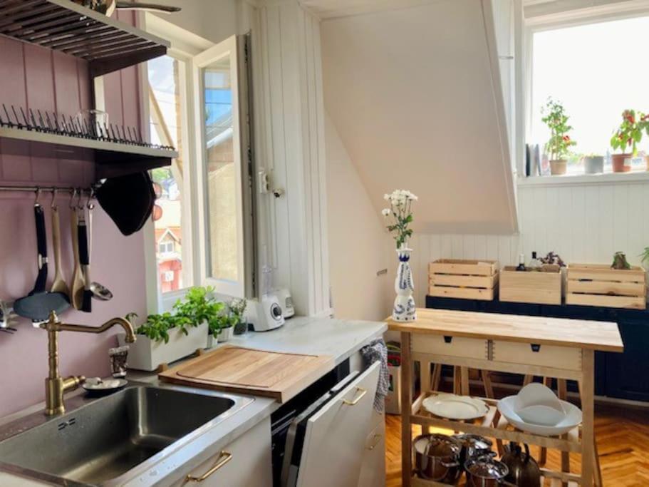 Big, Bright Apartment In The Center Of 萨格勒布 外观 照片
