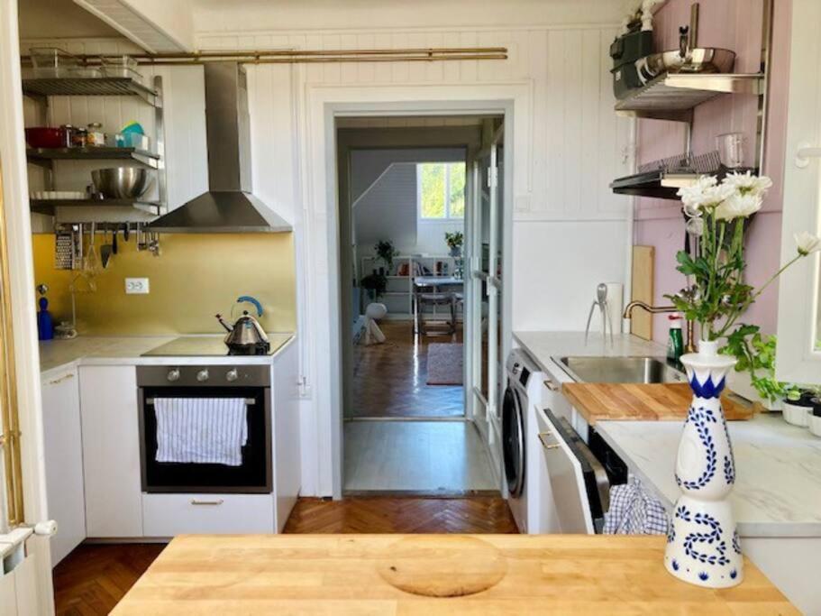 Big, Bright Apartment In The Center Of 萨格勒布 外观 照片